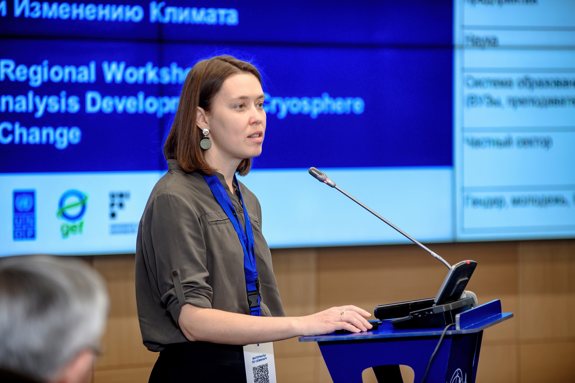 Climate and cryosphere: subregional workshop